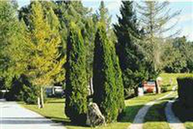 Camping le Bivouac image 0