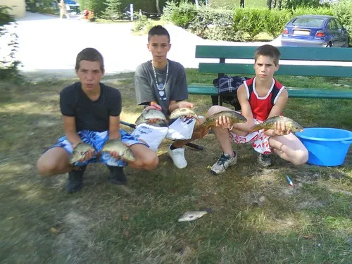 Camping Le Bois Guillaume 5