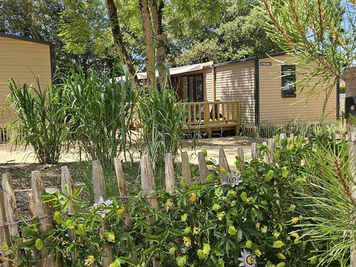 Camping Le Bois Verdon 4 ETOILES 2