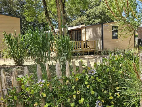 Camping Le Bois Verdon 4 ETOILES 5