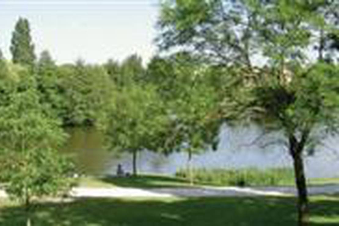 Camping le Bois Vert 5