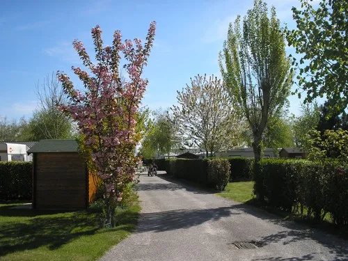 Camping Le Champ Neuf 5