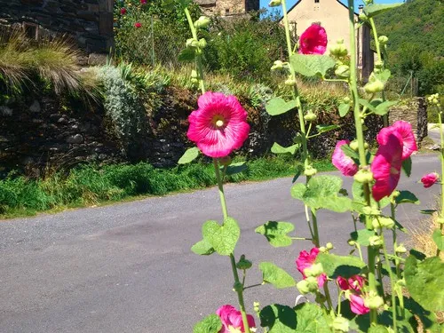 Camping Le Chante Merle 4
