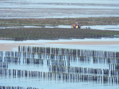 Camping Le Châtelet 8