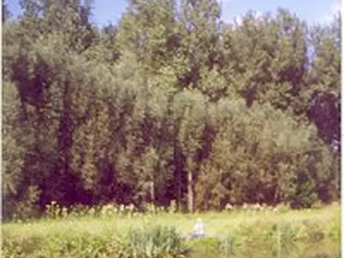 Camping Le Clos Cacheleux 6