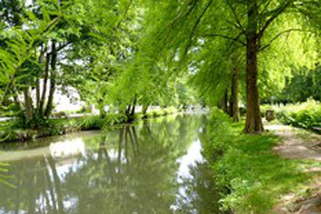 Camping "Le Cosson" 4