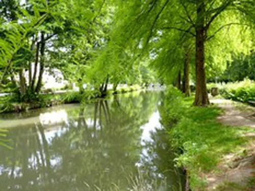 Camping "Le Cosson" 3