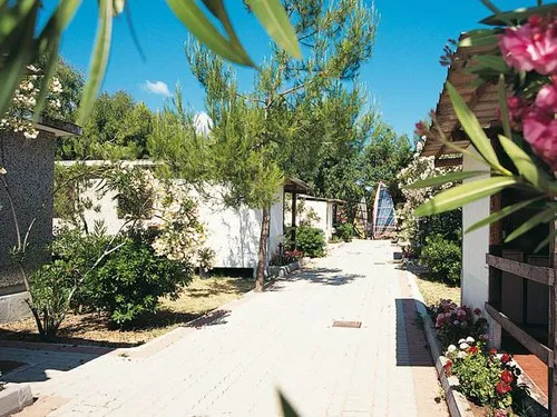 Camping Le Diomedee 2