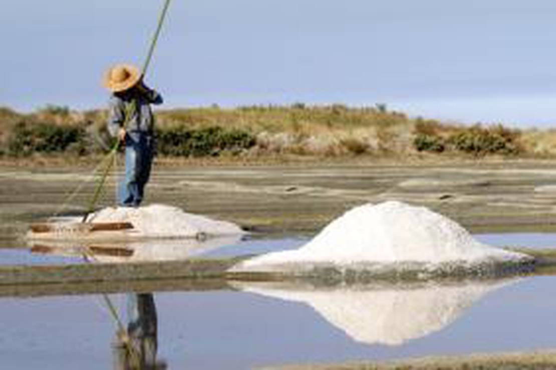 Camping le Domaine de Pont-Mahé 4