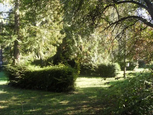 Camping Le Ferrand 3