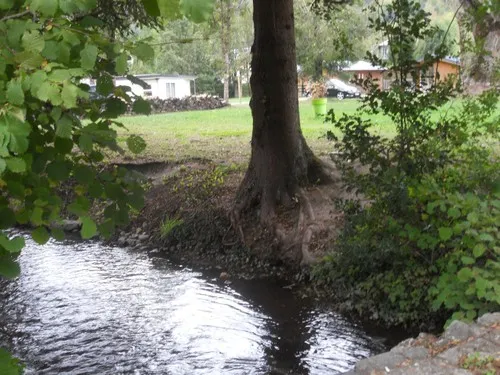 Camping Le Grand Calme 6