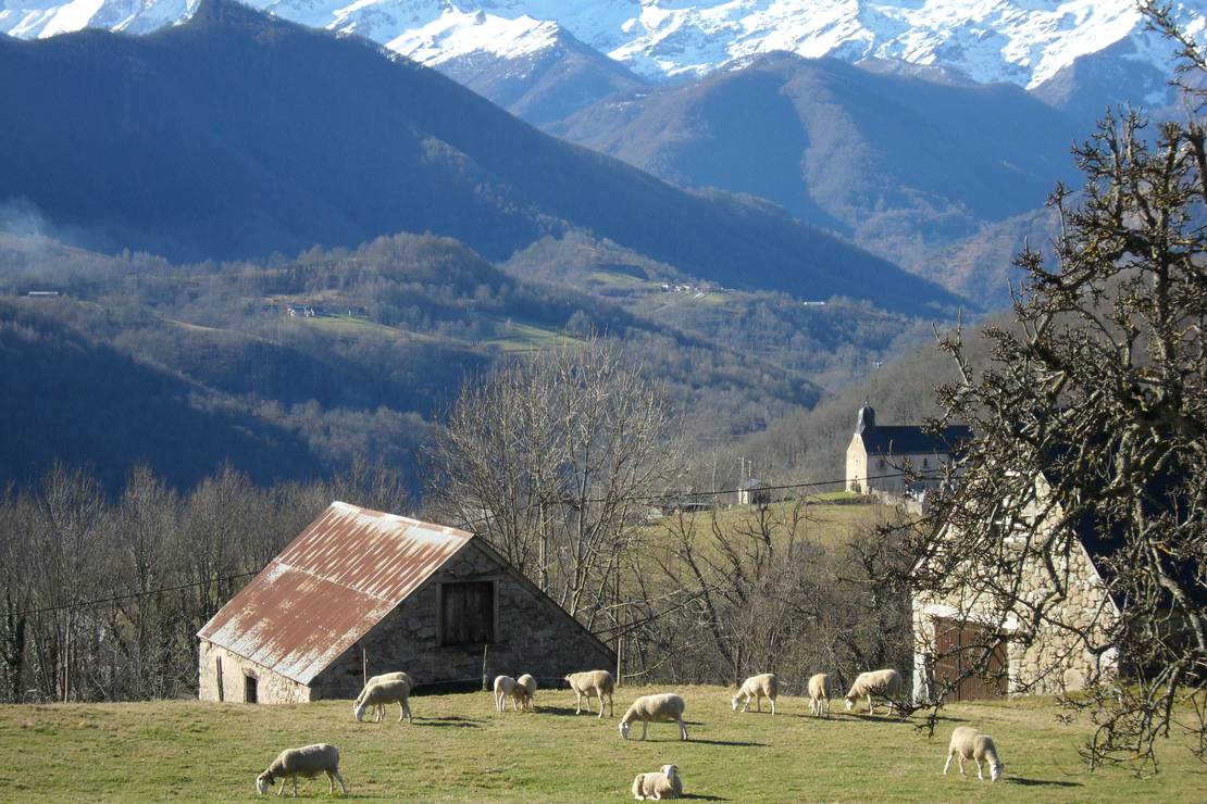 Camping Le Haut Salat 4