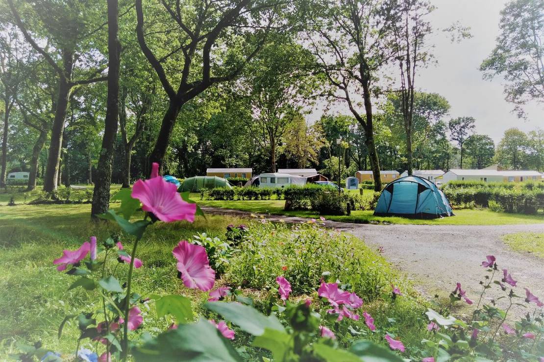 Camping écologique LE LAC O FEES 4