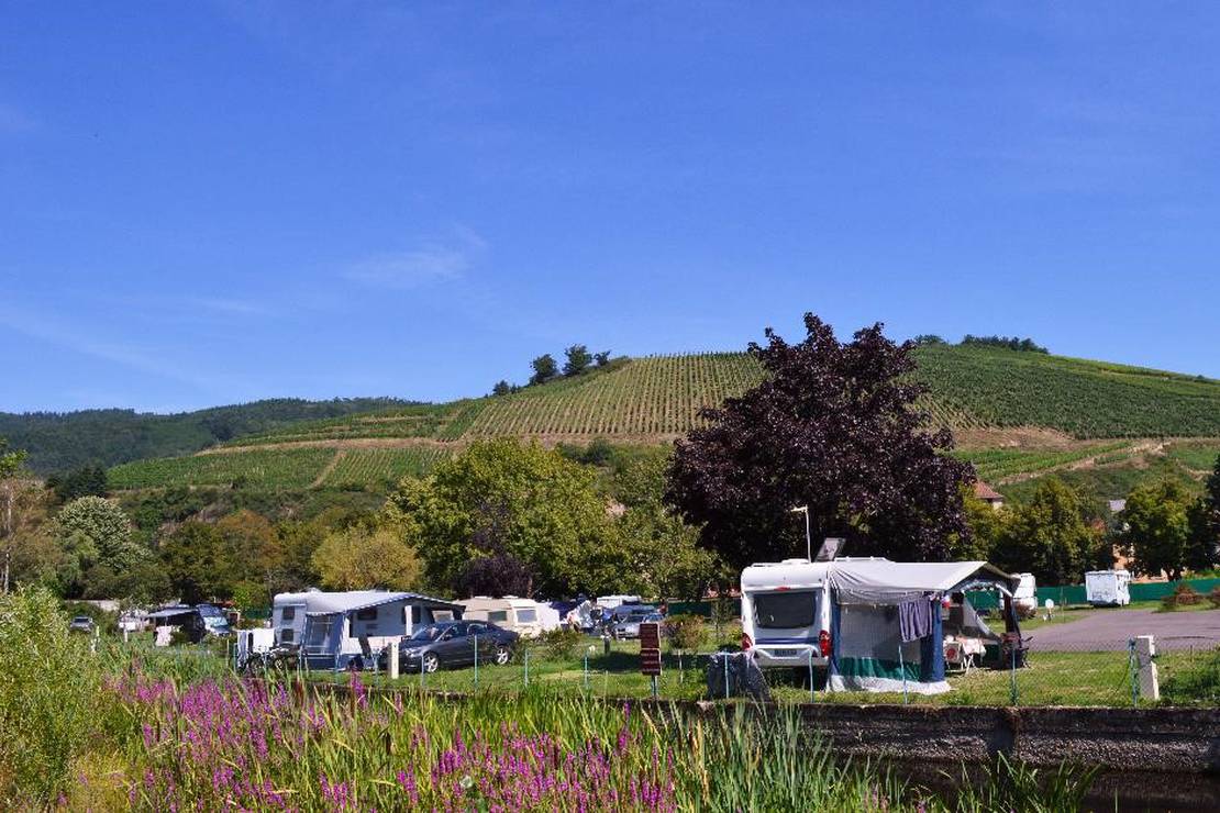 Camping le Médiéval 5