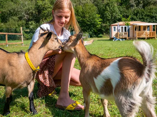 Camping Lot | Le Moulin du Bel-Air 5