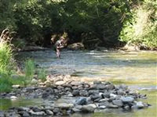 Camping Le Moulin Du Pont D ‘alies 5