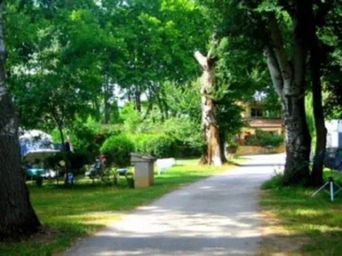Camping Le Nostradamus 5