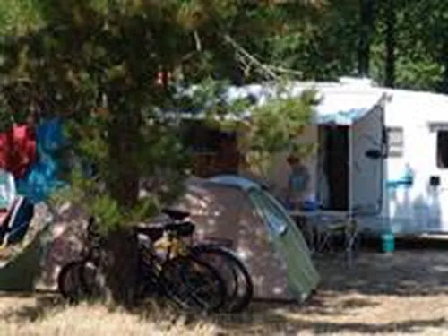 Camping Le Palace 5