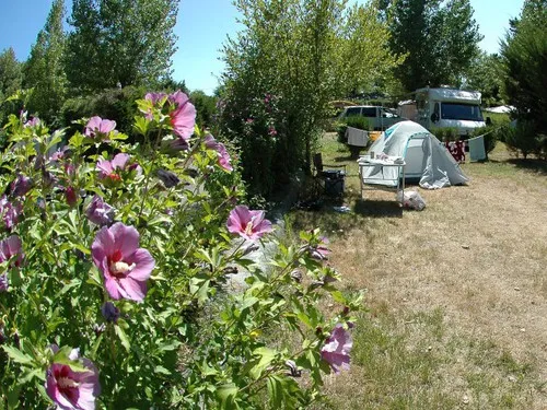 Camping Le Paradis 5