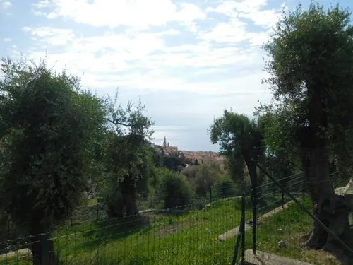 Camping Le Parc Saint Michel 5