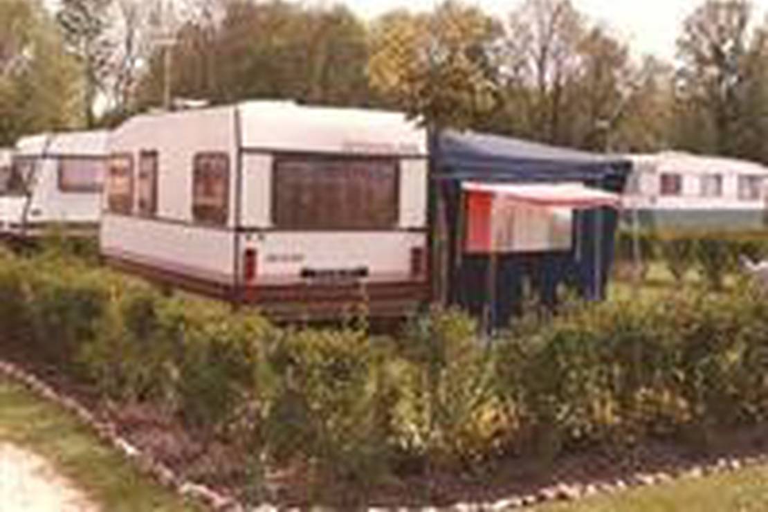 Are dogs allowed at the campsite Camping le Petit Pont?