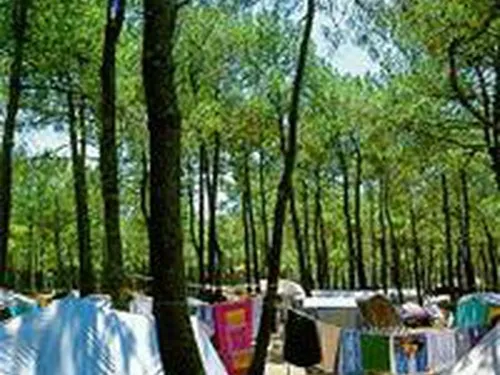 Camping Le Pin Sec 5