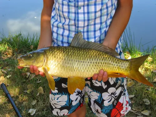 Camping Le Repaire 5