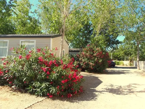 Camping Le Rochelongue 5