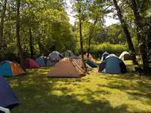 Camping Le Terrier 4