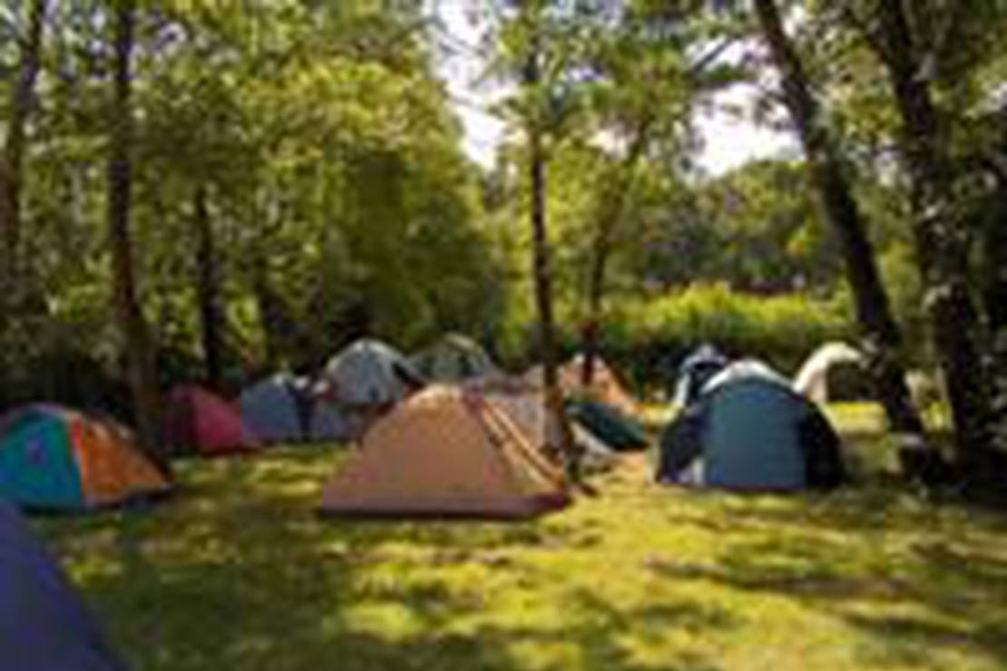 Camping Le Terrier 5