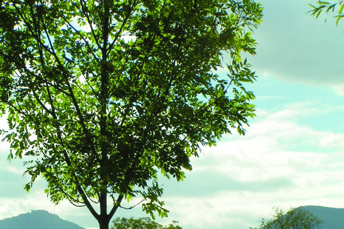 Camping Le Vallon De L'ehn 7