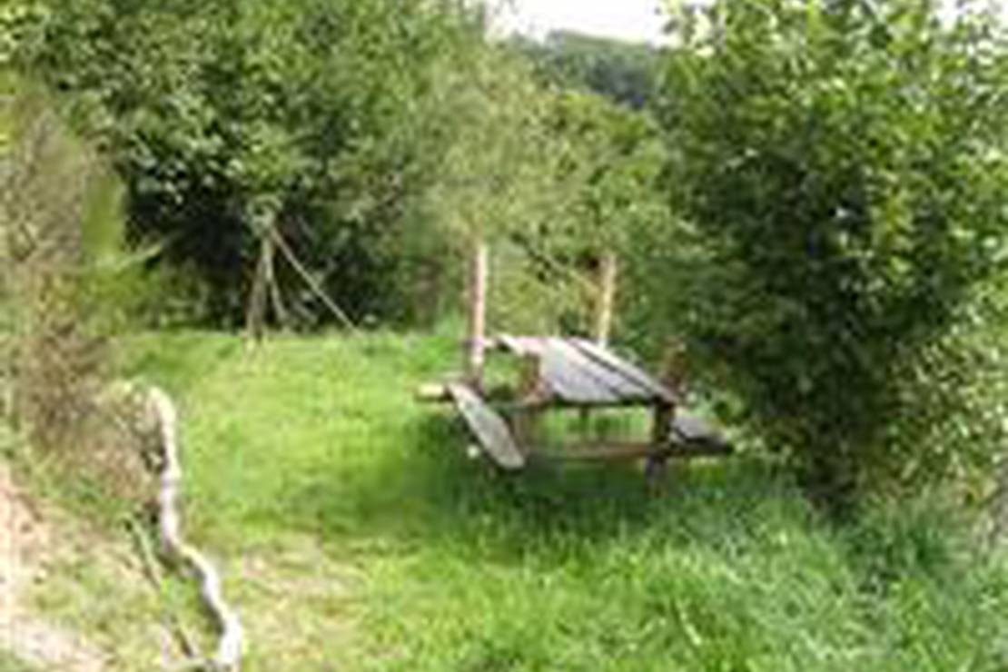 Camping Le Vieux Moulin 5