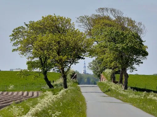 Camping Lentemaheerd 7