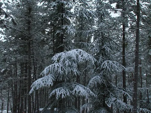 Camping Les 3 Lacs 5