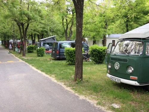 Camping les Actinidias 5