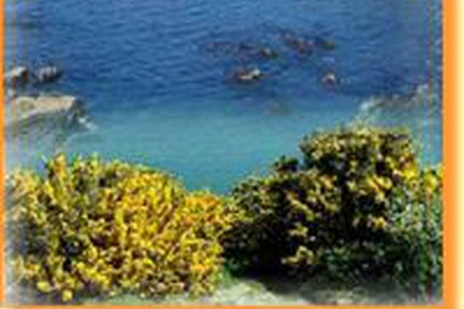 Camping Les Ajoncs D'or image 1