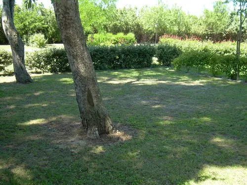 Camping les Amandiers 6