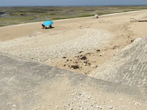 Camping Les Baleines 4