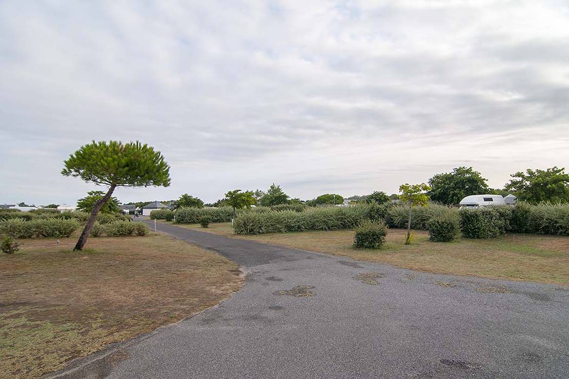 Camping les Chardons Bleus*** 5