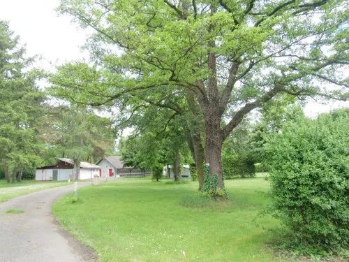 Camping les Cigognes 4