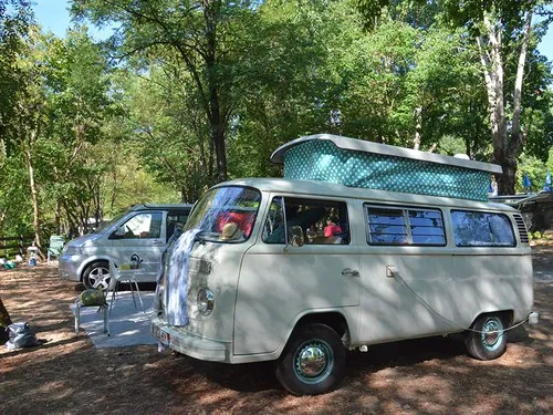 Camping Les Gorges de l’Hérault 5