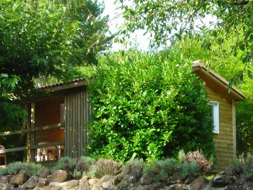 Camping Les Lavandes 5