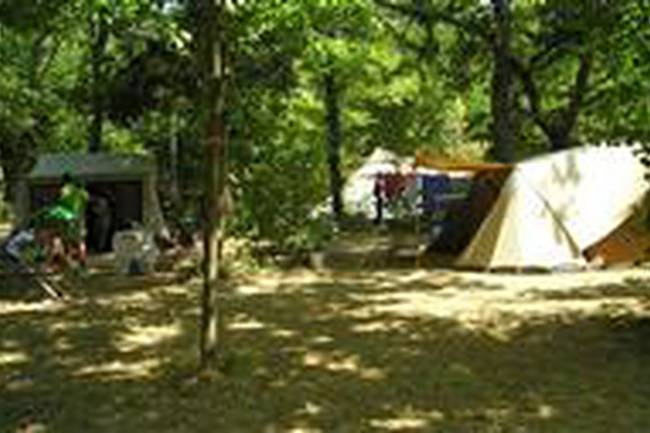 Camping Les libellules image 1