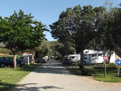 Camping Les Oliviers 4