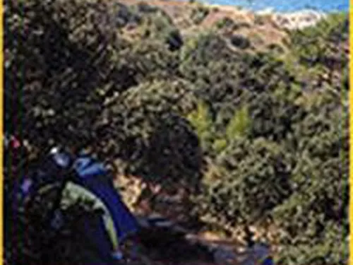 Camping Les Oliviers 5