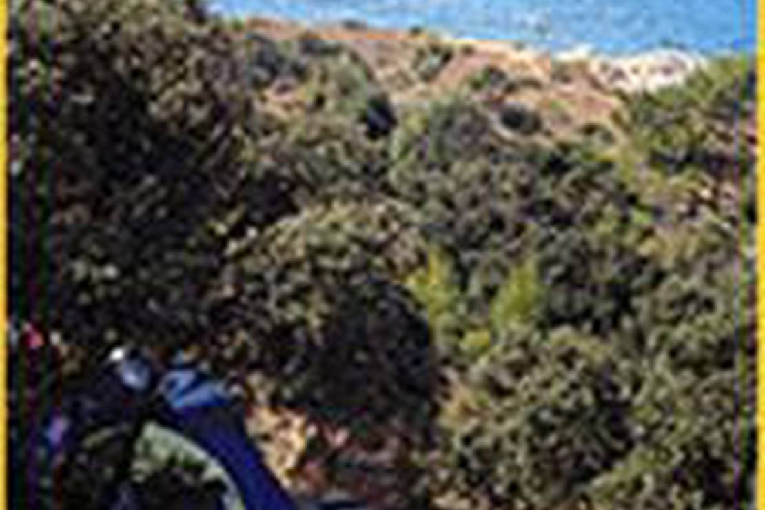 Camping Les Oliviers 6