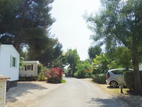 Camping Les Pins Maritimes 5