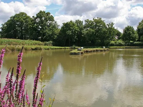 Camping Les Prairies de L'Etang 5