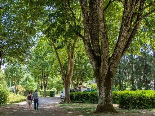 Camping  Les Premiers Prés 5