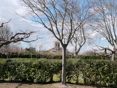 Camping Les Romarins 7